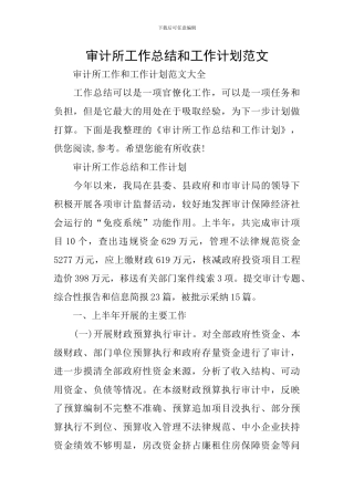 审计所工作总结和工作计划范文