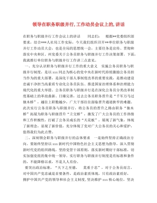 领导在职务职级并行,工作动员会议上的,讲话 
