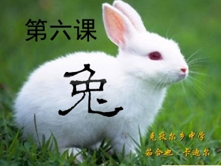 第6课__兔