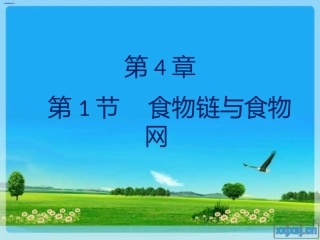 食物链与食物网
