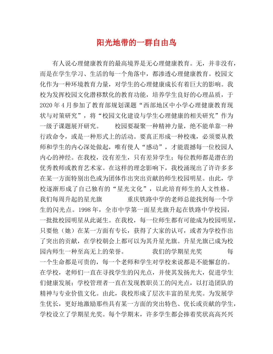 阳光地带的一群自由鸟 _第1页