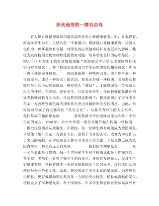 阳光地带的一群自由鸟 