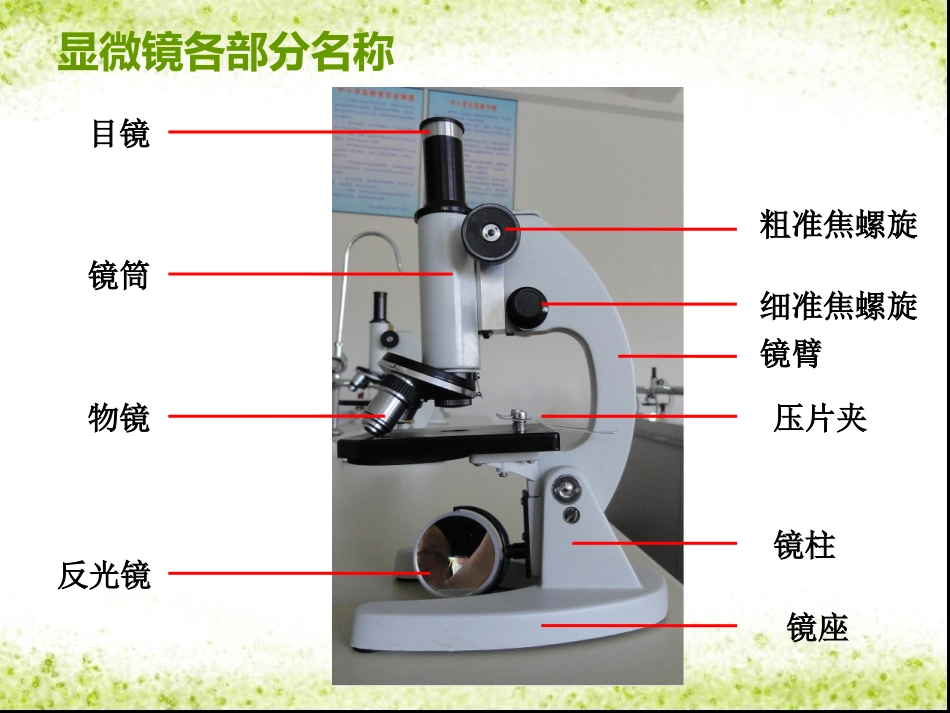 显微镜的操作_第2页