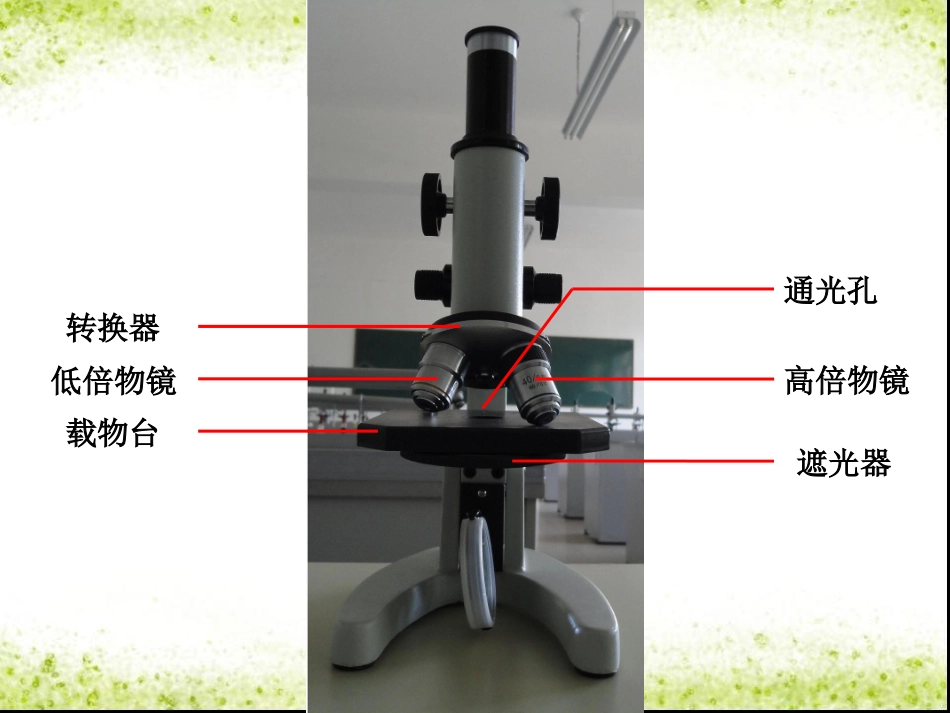 显微镜的操作_第3页