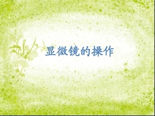 显微镜的操作