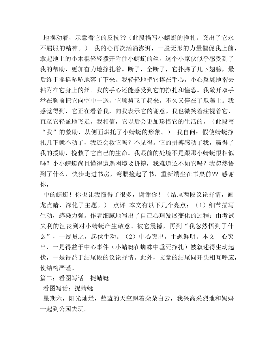 写保护蜻蜓的作文 _第2页