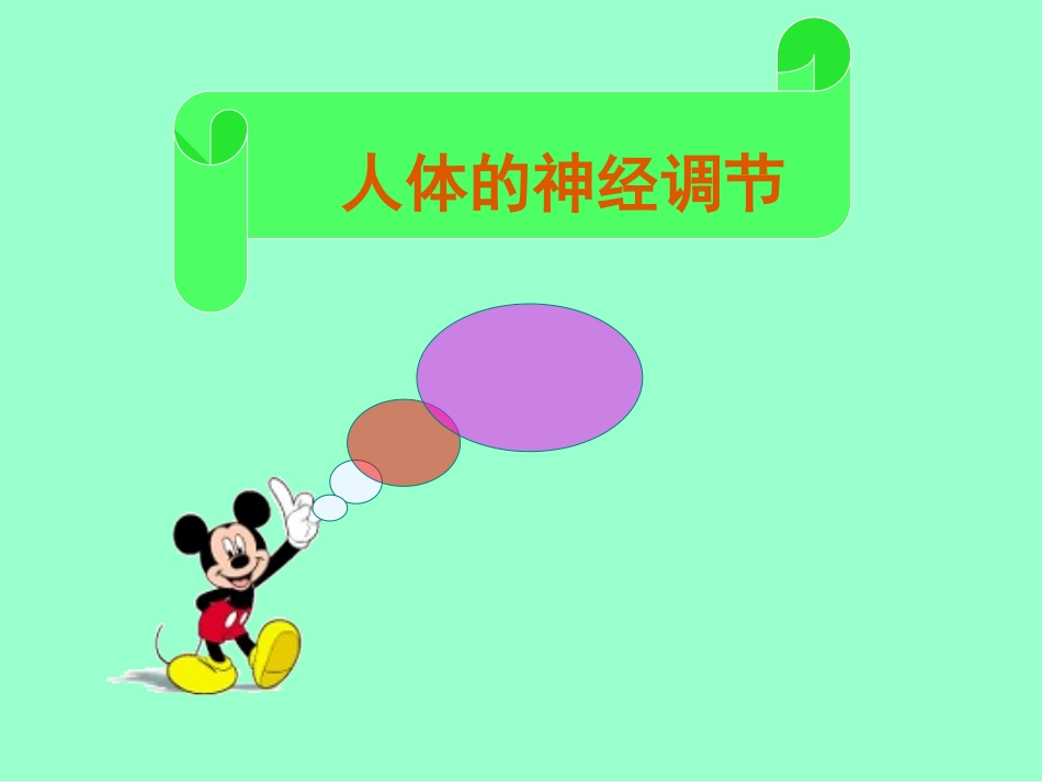 人体的神经调节_第1页