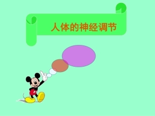 人体的神经调节