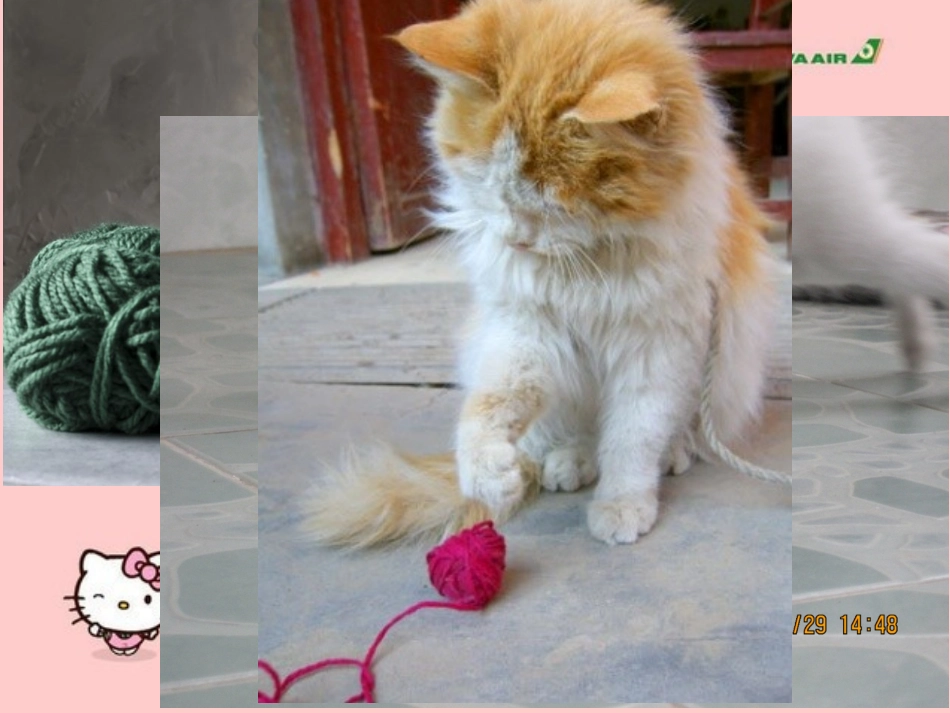 2、绕绕涂涂_第2页