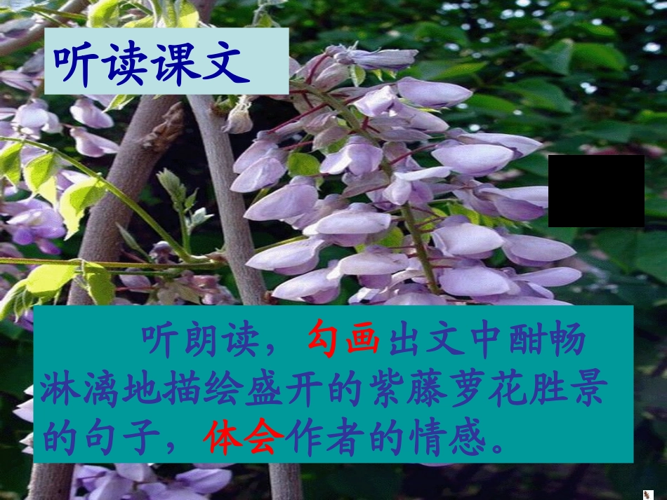 七年级语文上册 第4课紫藤萝瀑布课件 人教新课标版_第3页