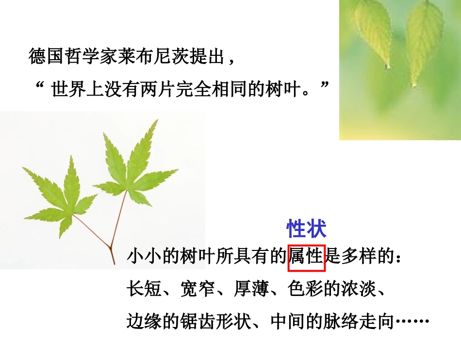 第五节_生物的变异_第1页