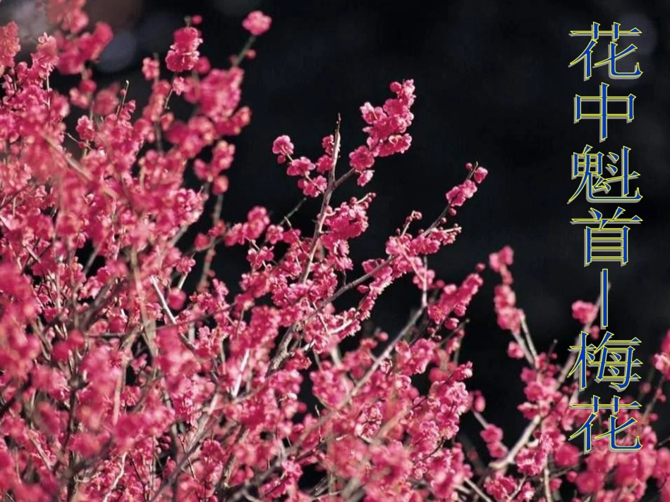 323开花和结果_第2页