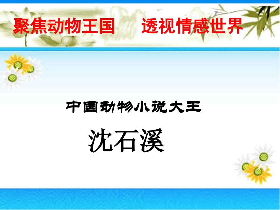 沈石溪作品班级读书会_第2页