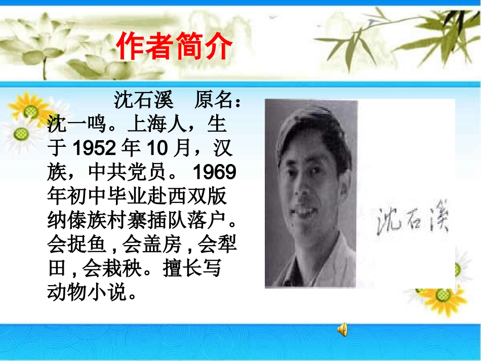 沈石溪作品班级读书会_第3页