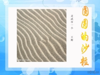 圆圆的沙粒课件