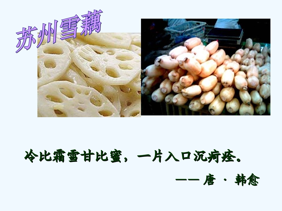 七年级语文上册《藕与莼菜》课件 上海五四制版_第3页