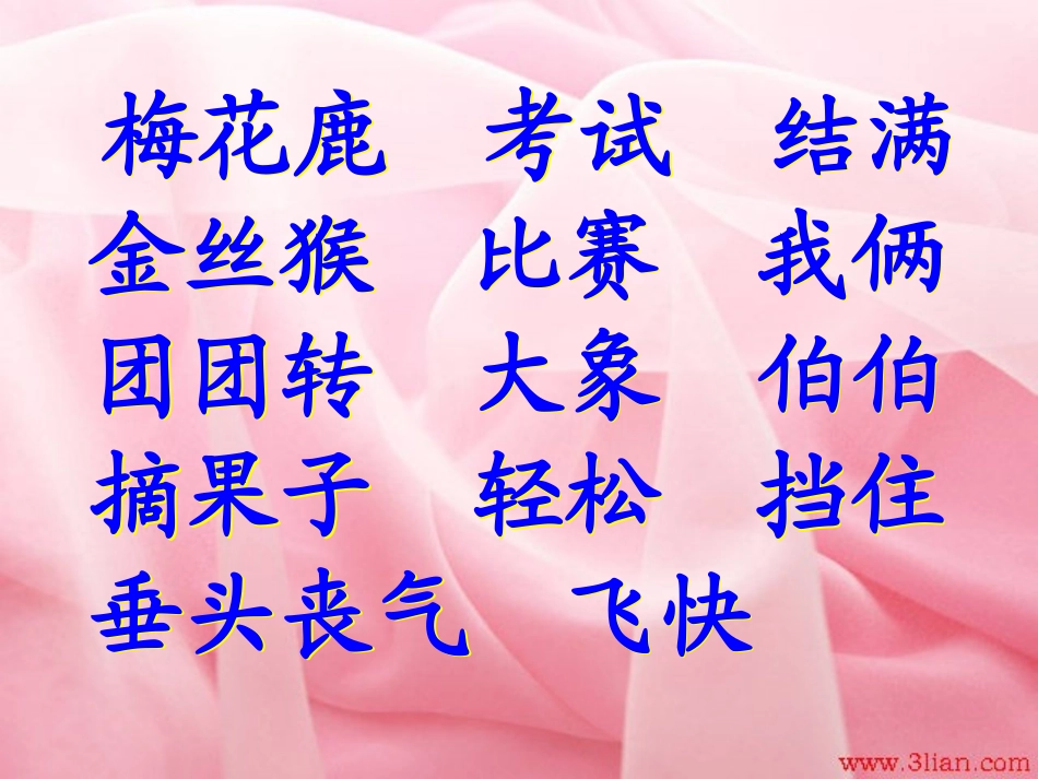 比_本_领2_第2页