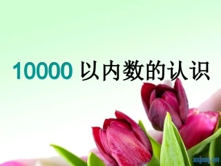 10000以内数的认识1