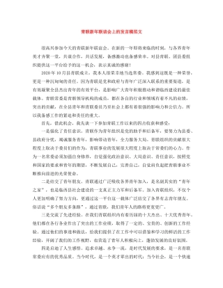 青联新年联谊会上的发言稿范文 