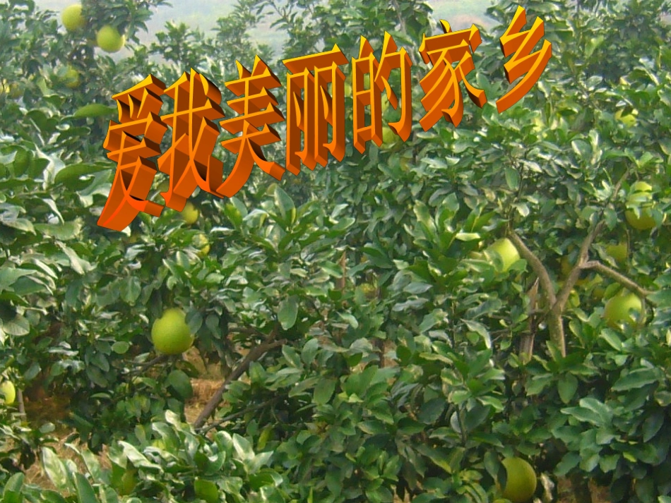 分数大小比较_第1页