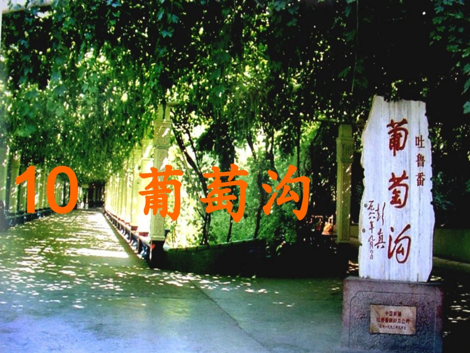 葡萄沟上课课件_第1页