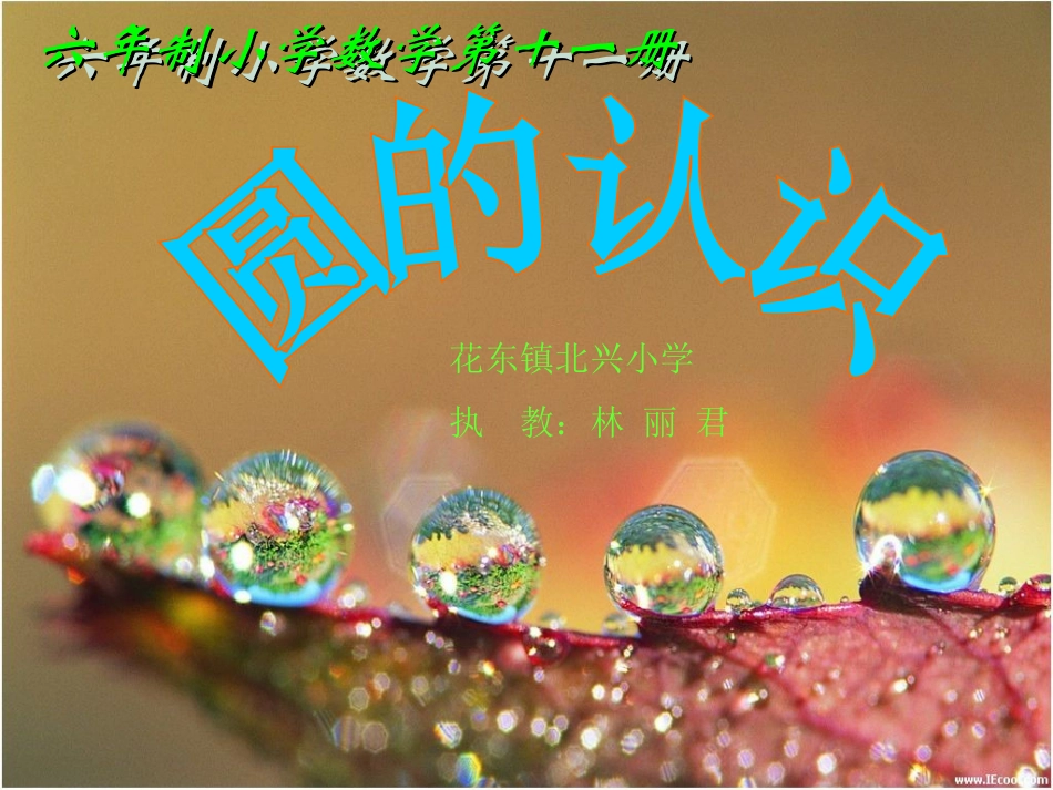 圆的认识（君）_第1页