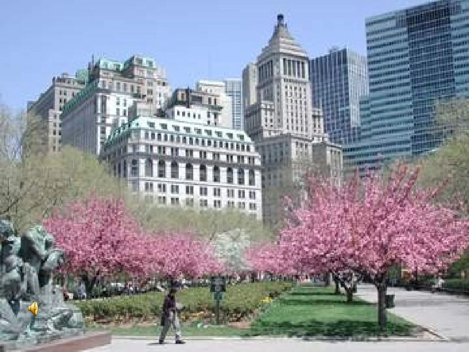 走进纽约 (2)_第3页