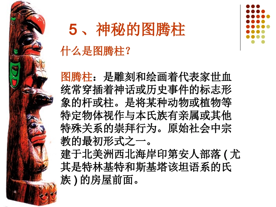 5、神秘的图腾柱_第3页