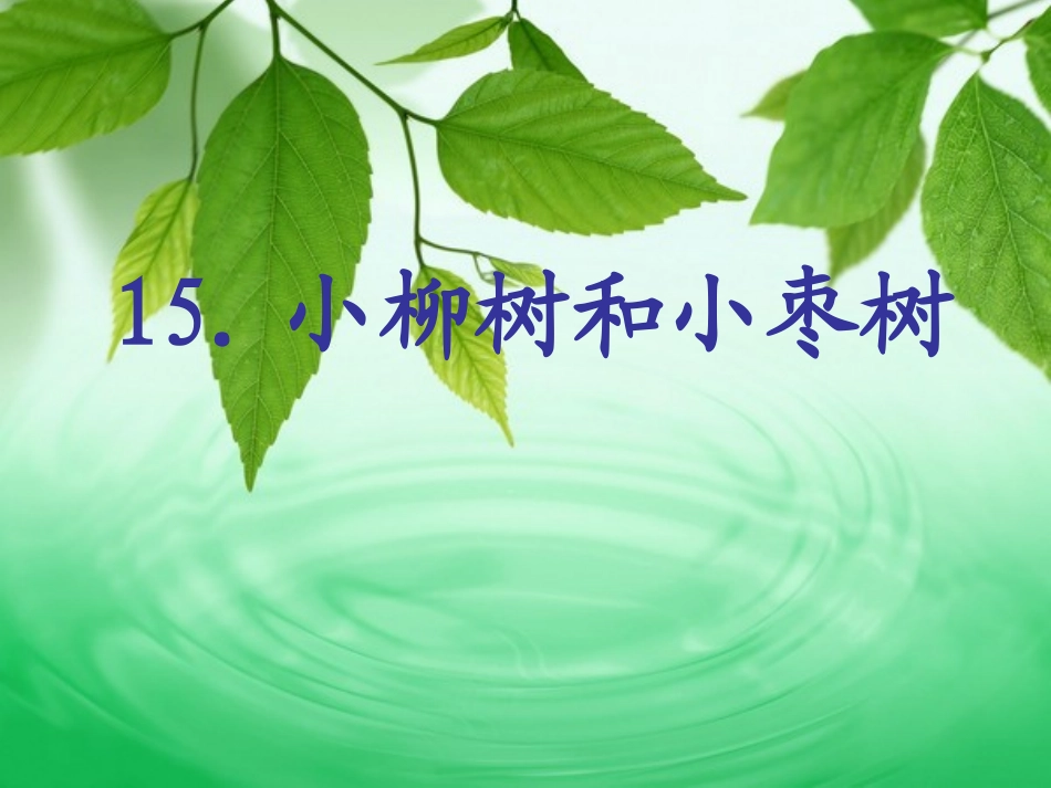 小柳树和小枣树_第1页