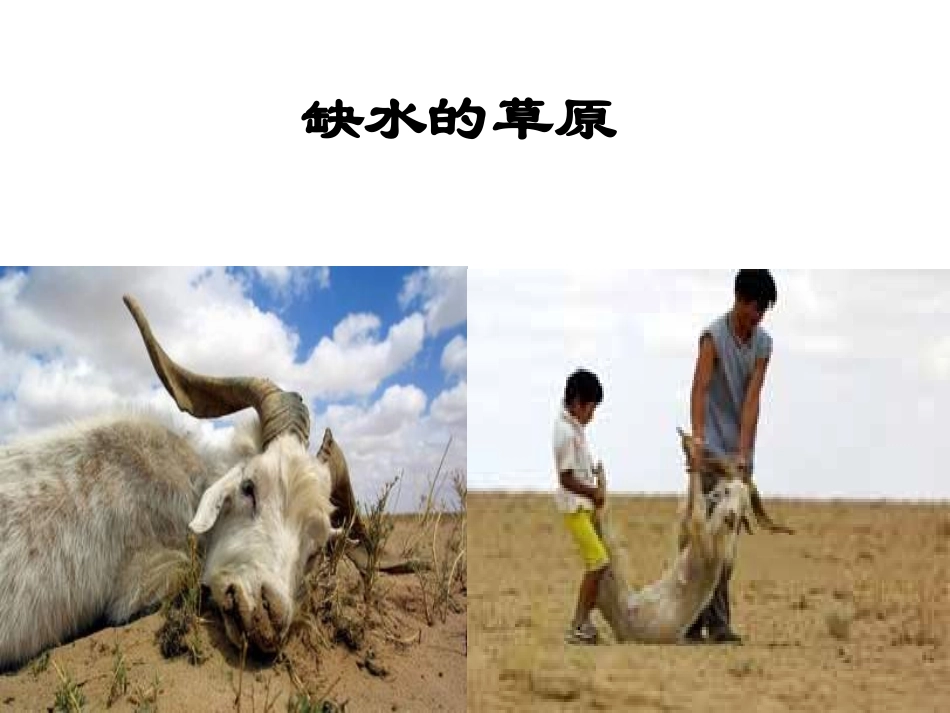 水资源黄书贵_第3页