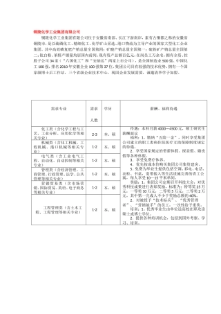 铜陵化学工业集团有限公司