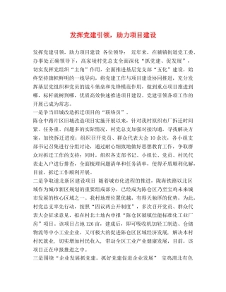 发挥党建引领，助力项目建设 