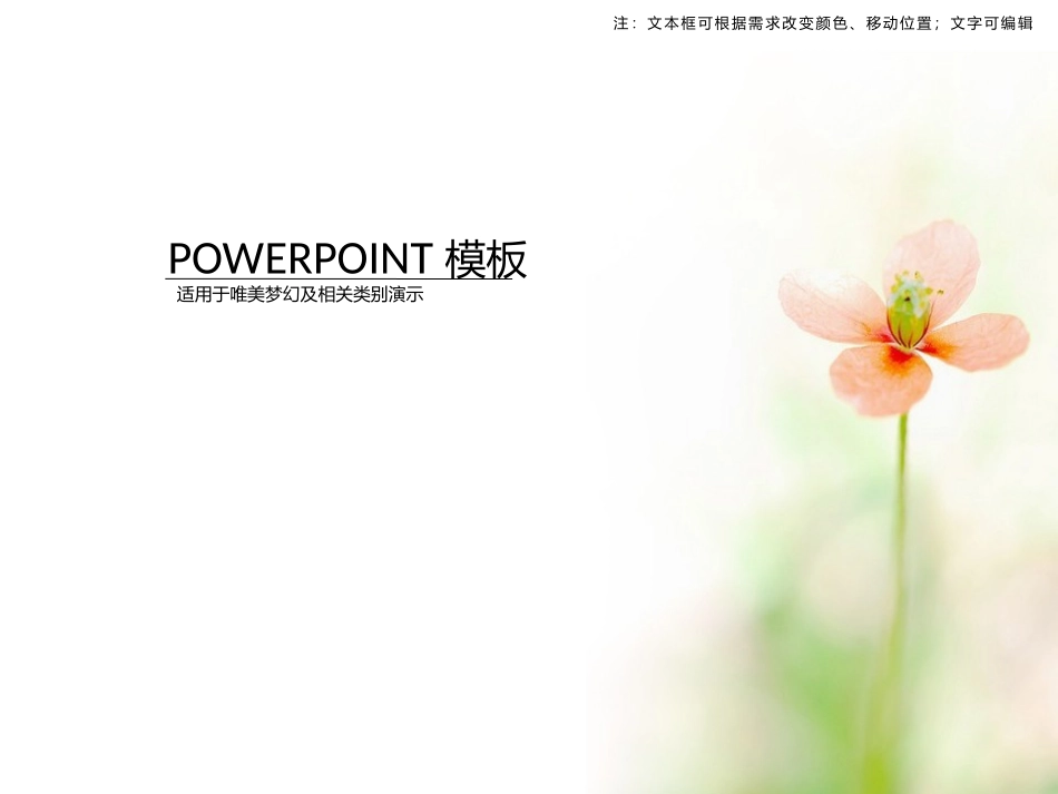 淡雅清新唯美PPT模板_第1页