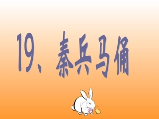 秦兵马俑 (4)