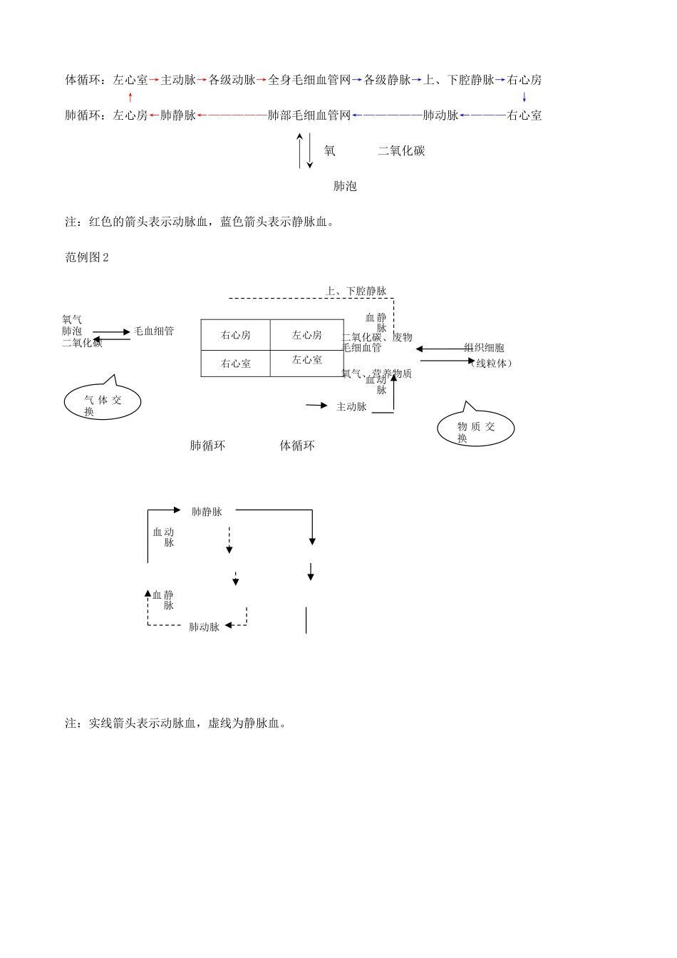 血液循环的途径_第3页