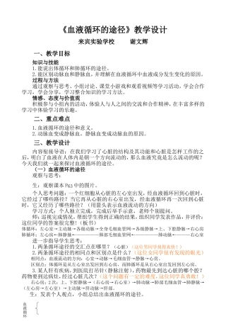 血液循环的途径