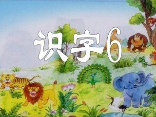 识字6最新修改