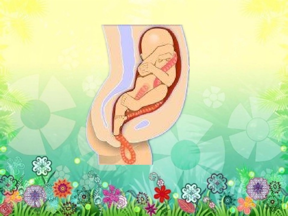 是谁的肚脐眼？_第3页