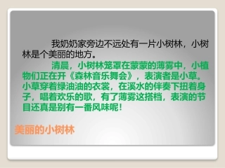 美丽的小树林