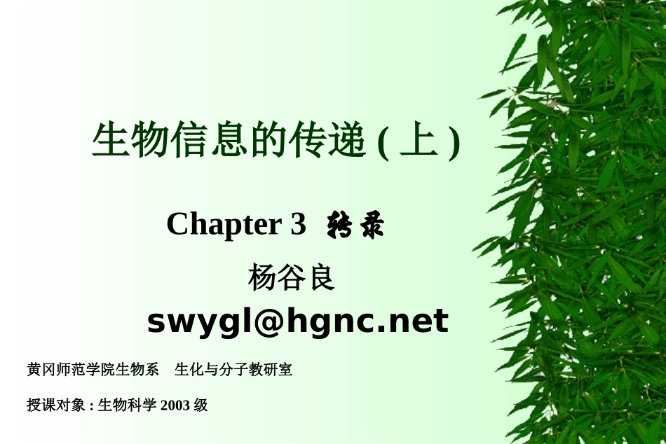 第三章-生物信息传递(上_第2页