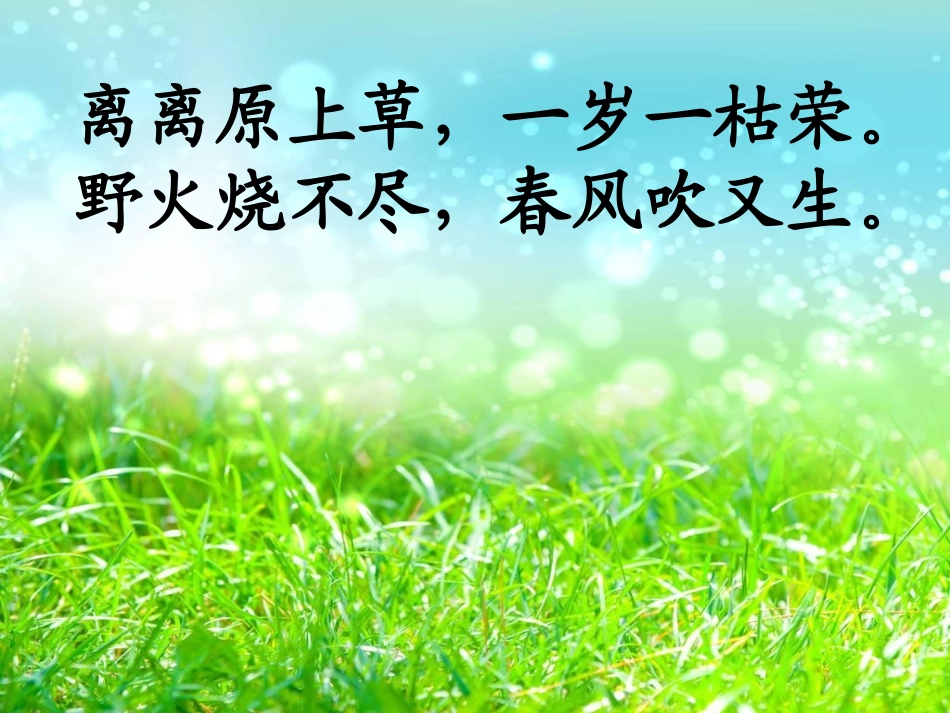 修改后的小草_第2页