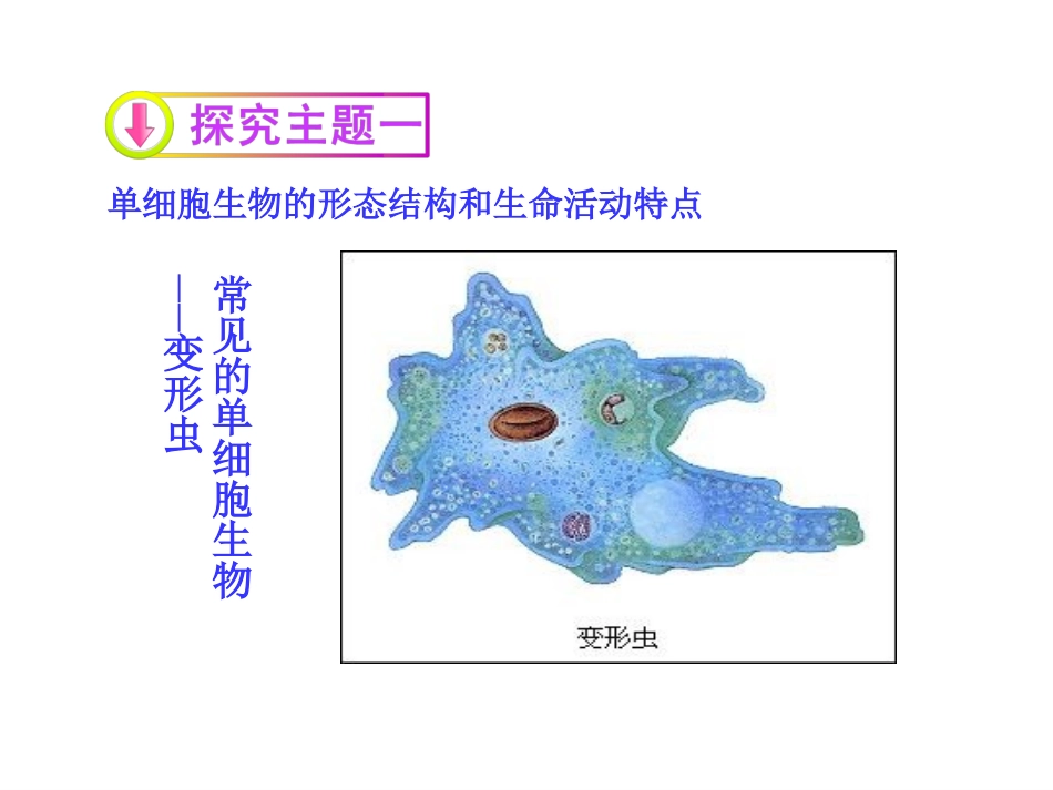 第一节单细胞生物_第3页