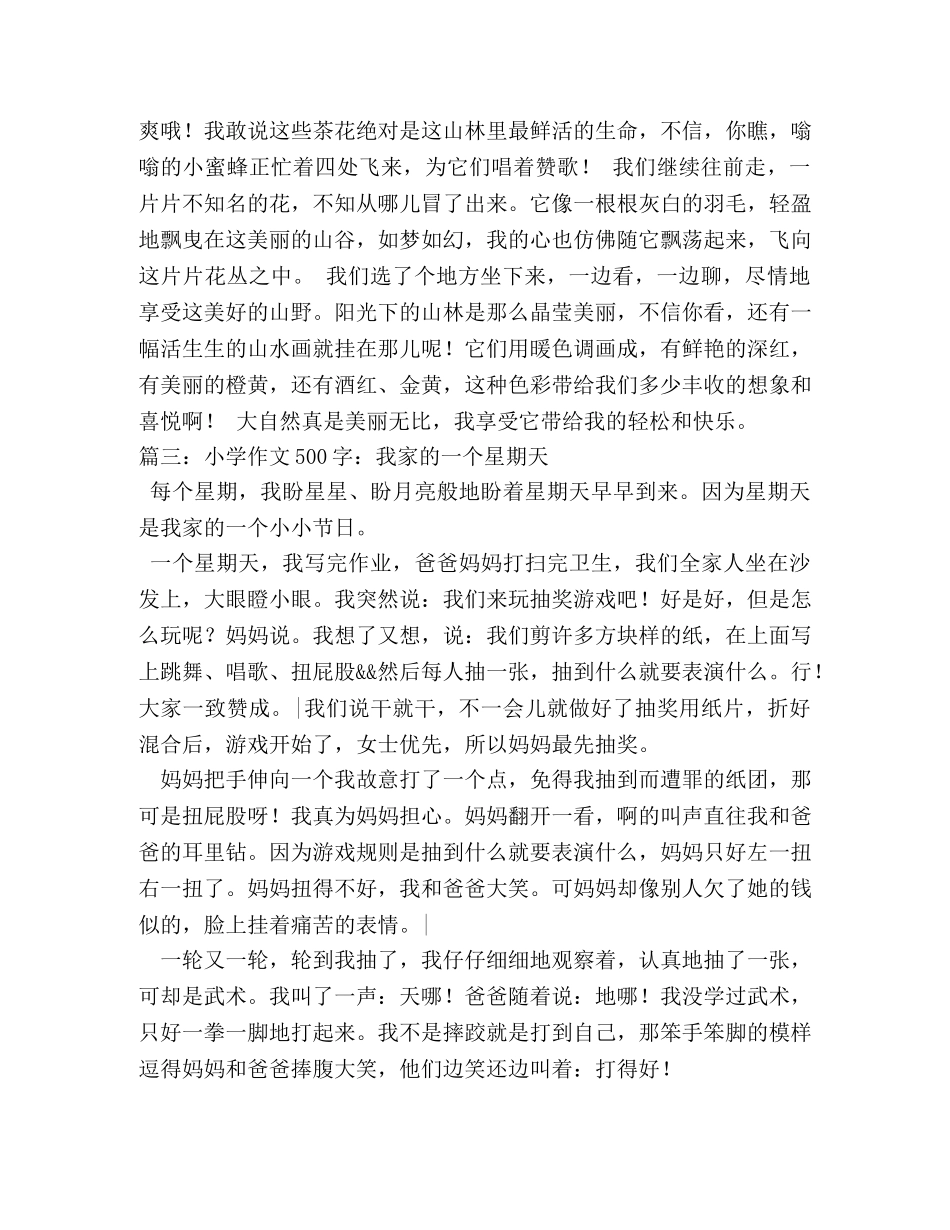 我的周末作文500字 _第2页