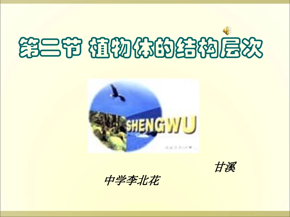 植物层次课件_第2页
