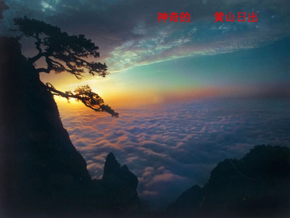 46神奇的眼睛_第2页