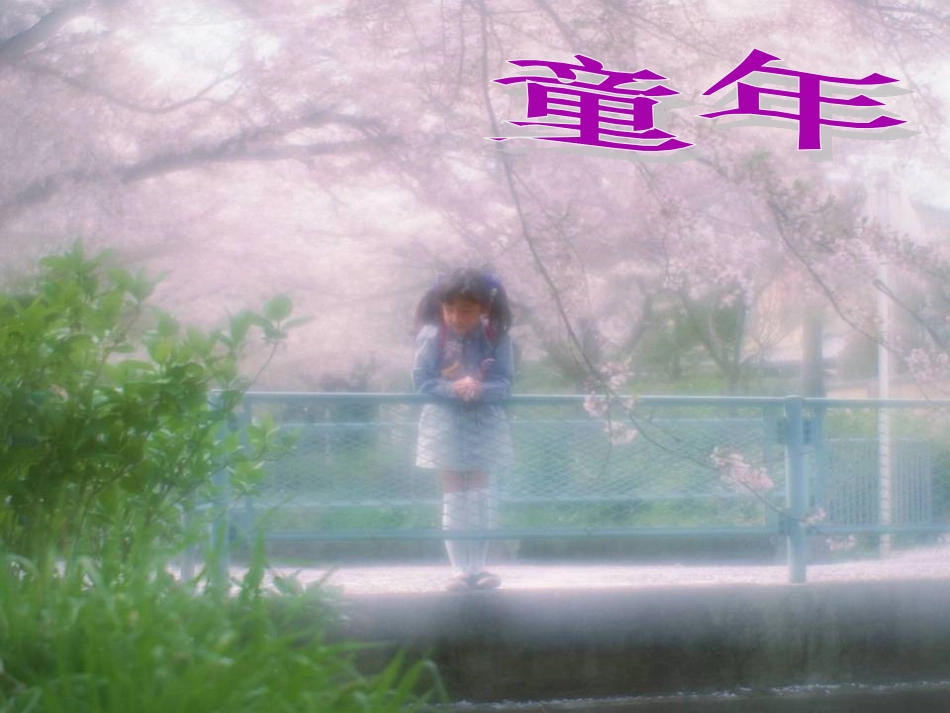 七年级语文下册《三颗枸杞豆》课件 苏教版_第1页