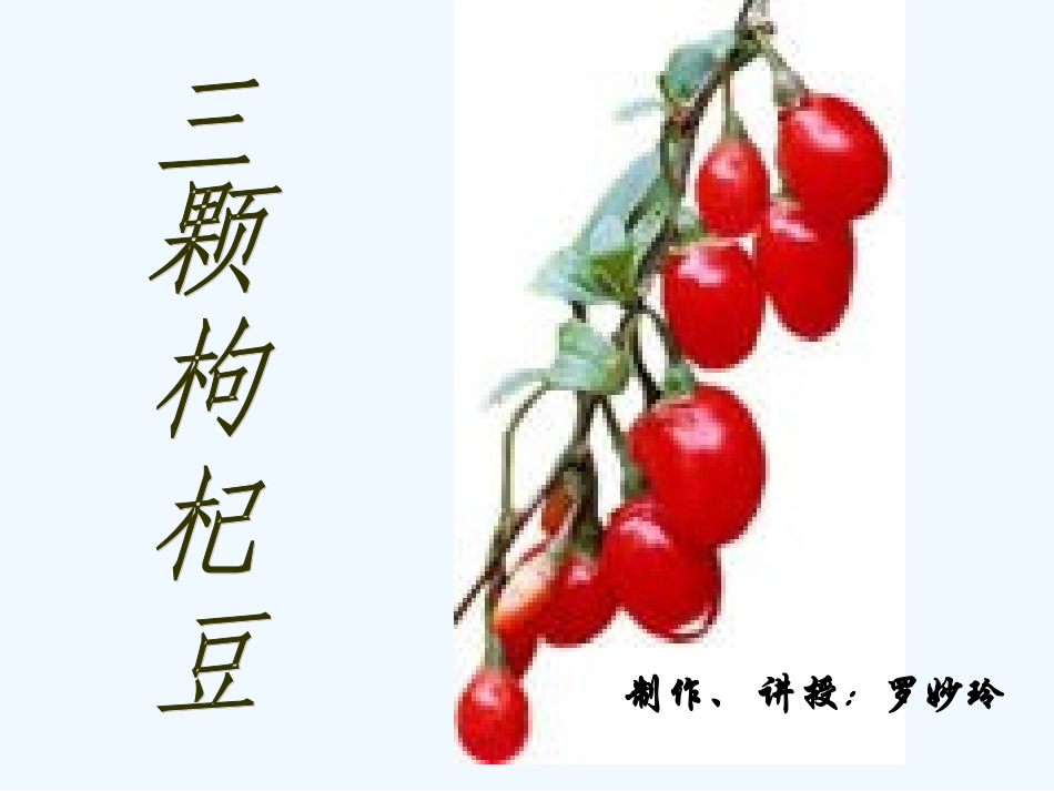 七年级语文下册《三颗枸杞豆》课件 苏教版_第2页