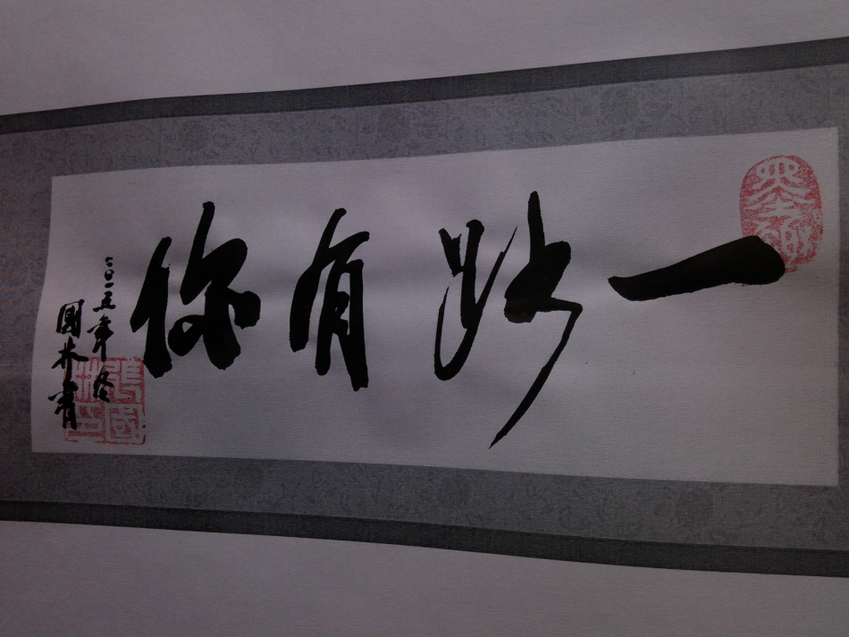 一路有你(张国林书法作品）_第1页