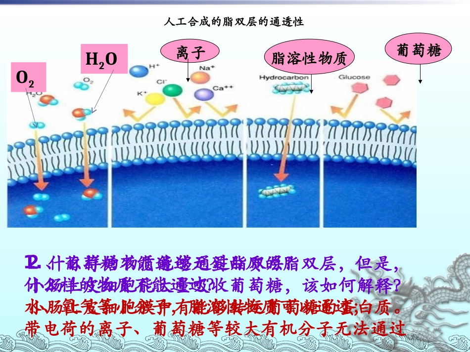 必修一课件：物质跨膜运输的方式（上课）_第3页