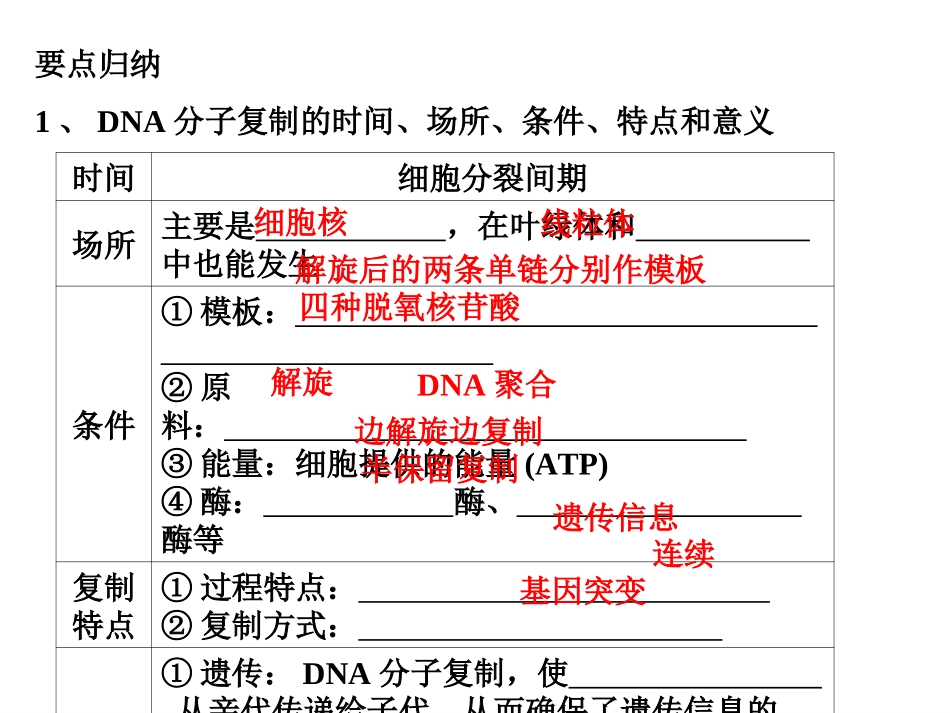 第2讲　DNA分子的结构、复制及基因是有遗传效应的DNA片段_第3页
